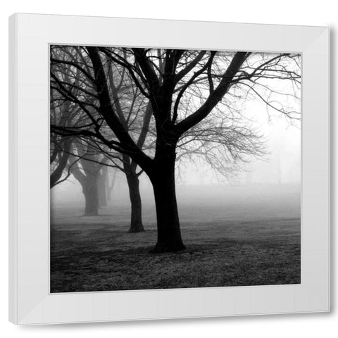 Trees White Modern Wood Framed Art Print by PhotoINC Studio