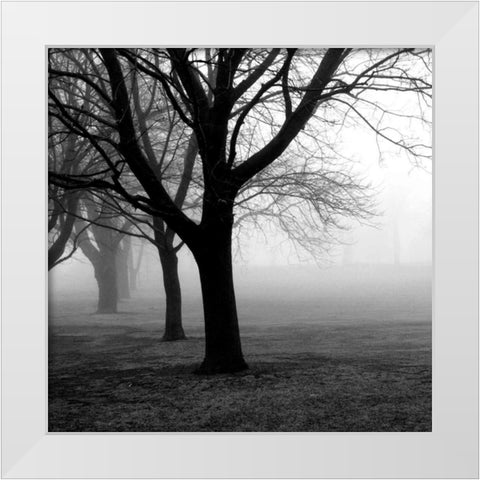 Trees White Modern Wood Framed Art Print by PhotoINC Studio