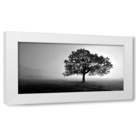 Tree in Mist White Modern Wood Framed Art Print by PhotoINC Studio
