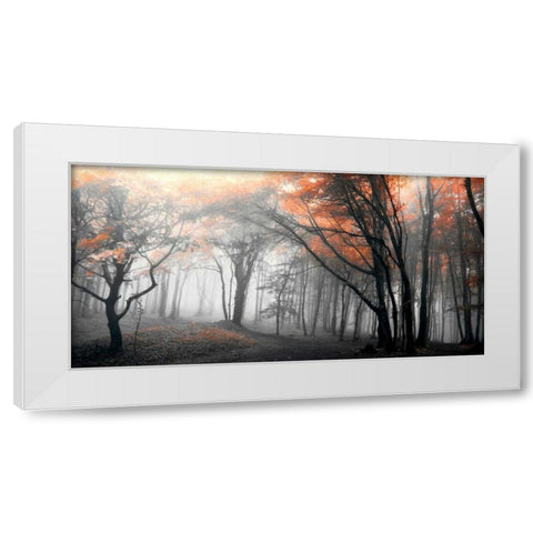 Autumn Woods White Modern Wood Framed Art Print by PhotoINC Studio
