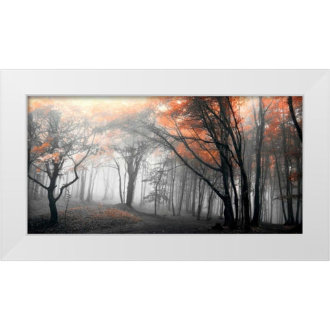 Autumn Woods White Modern Wood Framed Art Print by PhotoINC Studio