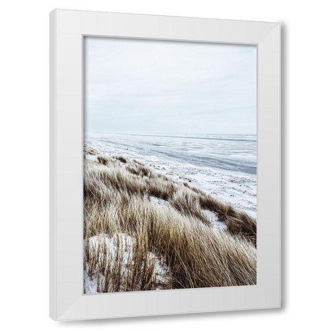 Coastal II White Modern Wood Framed Art Print by Incado
