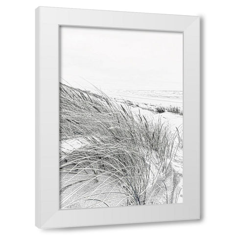 Coastal III White Modern Wood Framed Art Print by Incado