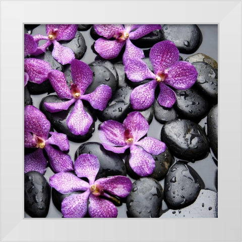 Zen Pebbles White Modern Wood Framed Art Print by PhotoINC Studio