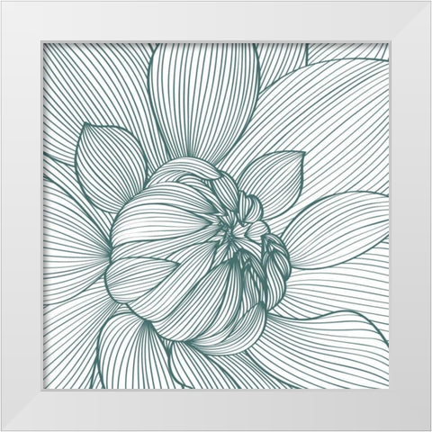 Myrrhis odorata I White Modern Wood Framed Art Print by GraphINC
