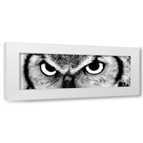 Owl White Modern Wood Framed Art Print by PhotoINC Studio