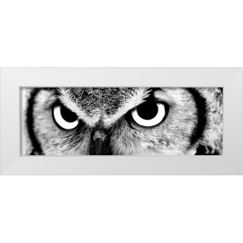 Owl White Modern Wood Framed Art Print by PhotoINC Studio