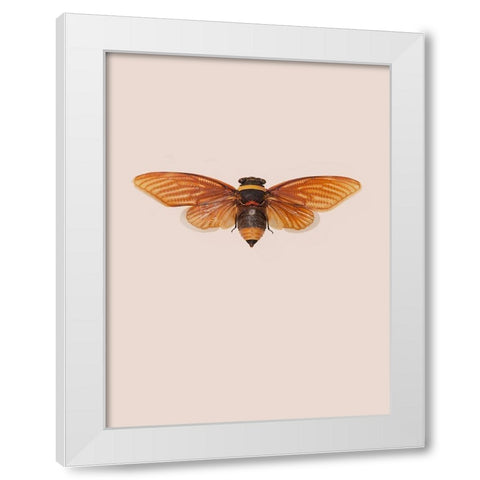 Dineutus White Modern Wood Framed Art Print by Incado