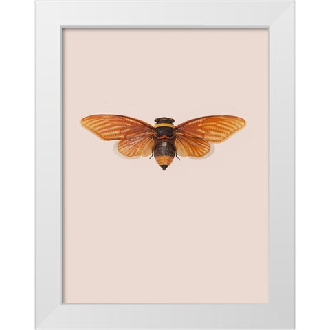 Dineutus White Modern Wood Framed Art Print by Incado