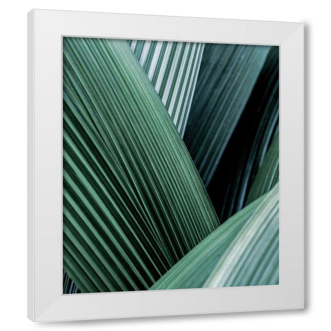 Close up I White Modern Wood Framed Art Print by Incado