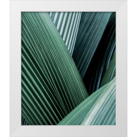 Close up I White Modern Wood Framed Art Print by Incado
