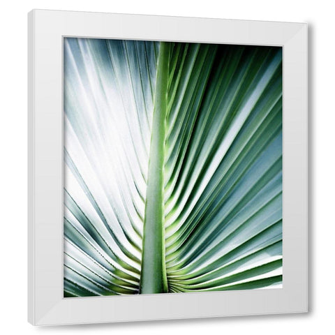 Close up III White Modern Wood Framed Art Print by Incado