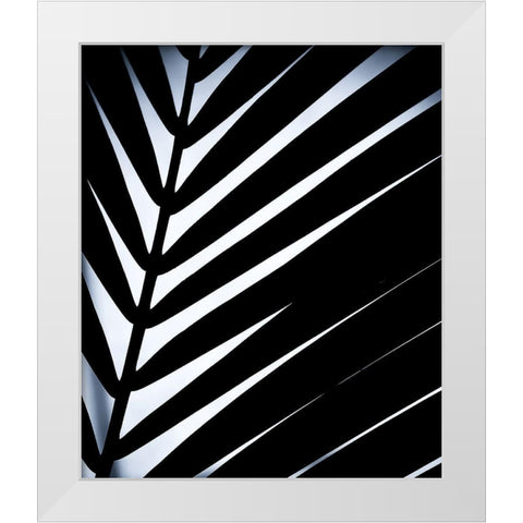 Close up VI White Modern Wood Framed Art Print by Incado
