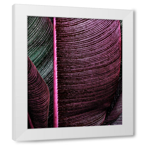 Close up VIII White Modern Wood Framed Art Print by Incado
