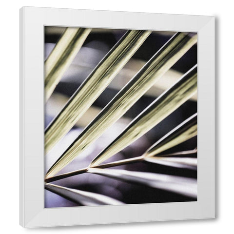 Close up IX White Modern Wood Framed Art Print by Incado