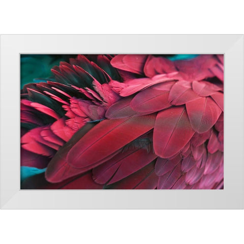 Feather White Modern Wood Framed Art Print by PhotoINC Studio
