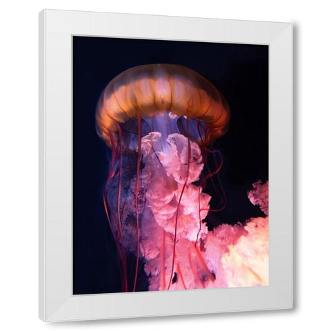 Gelly White Modern Wood Framed Art Print by PhotoINC Studio