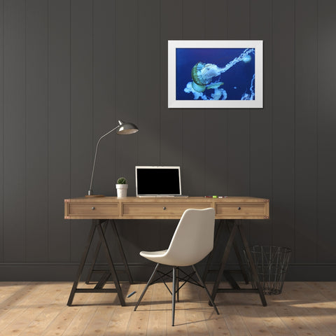 Jelly White Modern Wood Framed Art Print by PhotoINC Studio