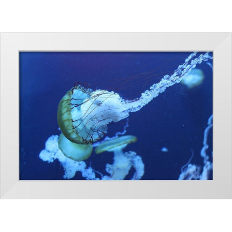 Jelly White Modern Wood Framed Art Print by PhotoINC Studio