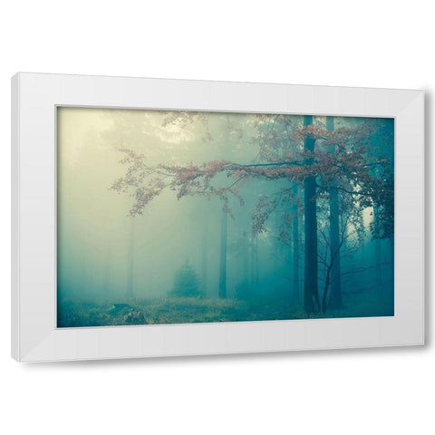 Woods White Modern Wood Framed Art Print by PhotoINC Studio