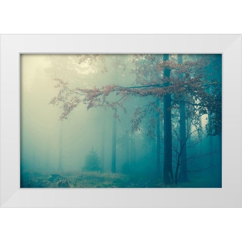 Woods White Modern Wood Framed Art Print by PhotoINC Studio