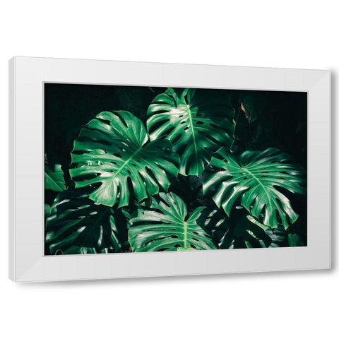Tropical White Modern Wood Framed Art Print by PhotoINC Studio