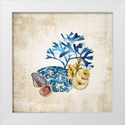 Sea life II White Modern Wood Framed Art Print by Incado