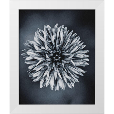 Autumn I White Modern Wood Framed Art Print by Incado