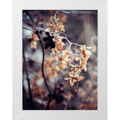 Autumn II White Modern Wood Framed Art Print by Incado