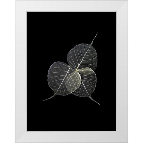 Dark Leaves White Modern Wood Framed Art Print by Incado