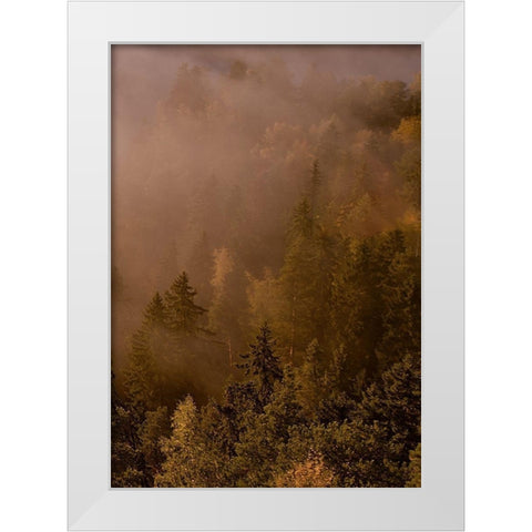 Autumn Forest White Modern Wood Framed Art Print by PhotoINC Studio