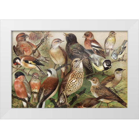 Collection I White Modern Wood Framed Art Print by PhotoINC Studio