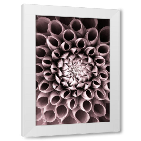 Just open White Modern Wood Framed Art Print by PhotoINC Studio