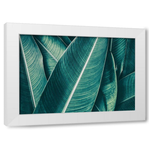 Banana White Modern Wood Framed Art Print by PhotoINC Studio