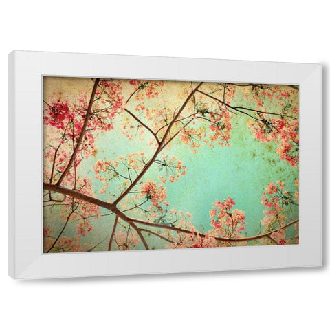 Flamboyant I White Modern Wood Framed Art Print by PhotoINC Studio