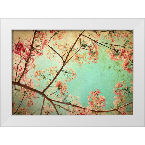 Flamboyant I White Modern Wood Framed Art Print by PhotoINC Studio