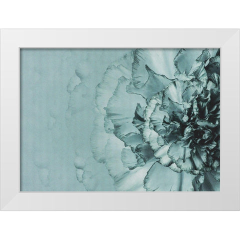Close up Flower White Modern Wood Framed Art Print by Incado