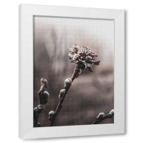 Spring White Modern Wood Framed Art Print by Incado