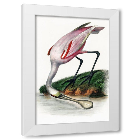 Spoonbill White Modern Wood Framed Art Print by Incado