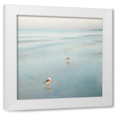 Two Birds on Beach White Modern Wood Framed Art Print by Juracek, John