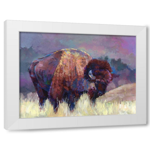Buffalo Roam White Modern Wood Framed Art Print by Jackson, Robert