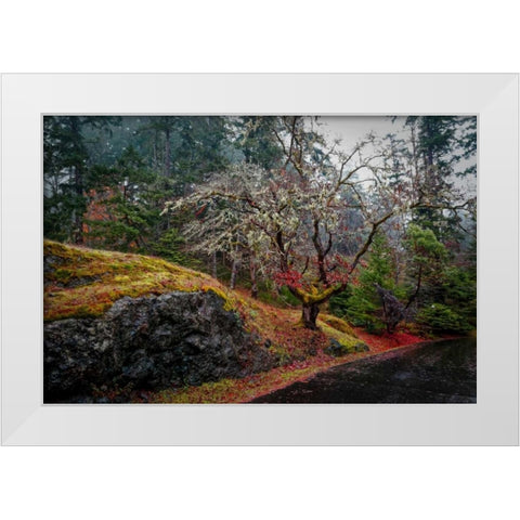 On the Road White Modern Wood Framed Art Print by Kostka, Vladimir