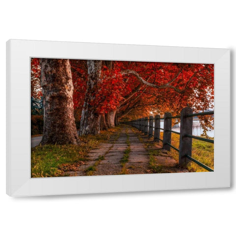 Walk by the River White Modern Wood Framed Art Print by Kostka, Vladimir