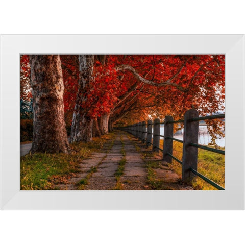 Walk by the River White Modern Wood Framed Art Print by Kostka, Vladimir