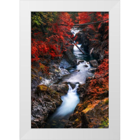 Water in the Fall White Modern Wood Framed Art Print by Kostka, Vladimir