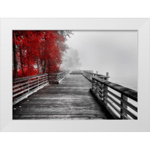 Fall Walkway White Modern Wood Framed Art Print by Kostka, Vladimir