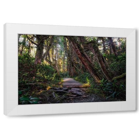 The Path White Modern Wood Framed Art Print by Kostka, Vladimir