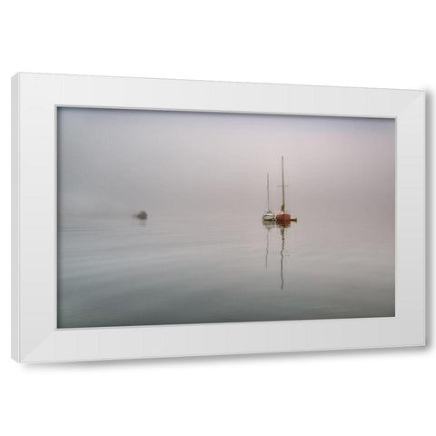 Tranquility II White Modern Wood Framed Art Print by Kostka, Vladimir