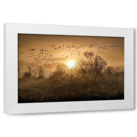 The Flight White Modern Wood Framed Art Print by Kostka, Vladimir