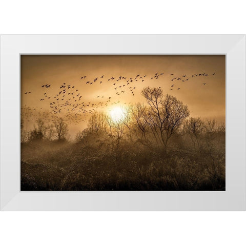 The Flight White Modern Wood Framed Art Print by Kostka, Vladimir